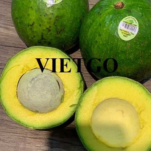 Cơ hội hợp tác xuất khẩu bơ đến thị trường UAE