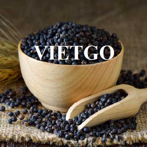 Cơ hội hợp tác xuất khẩu hạt tiêu đến thị trường Pakistan 