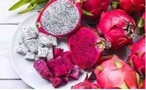 Cần tìm đơn vị FWD hàng thanh long sang Ấn Độ