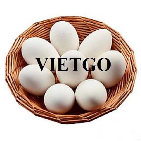 Cơ hội hợp tác xuất khẩu trứng gà trắng đến thị trường UAE