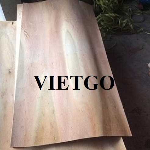 Thương vụ xuất khẩu ván bóc sang thị trường Ấn Độ