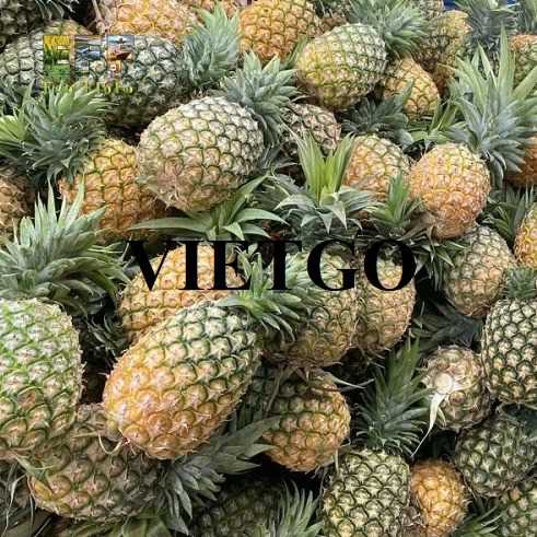 Cơ hội hợp tác xuất khẩu dứa MD2 đến thị trường UAE