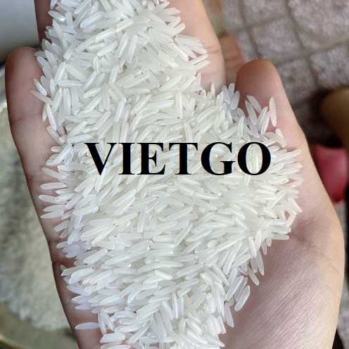 Cơ hội xuất khẩu gạo ST25 sang thị trường Hongkong