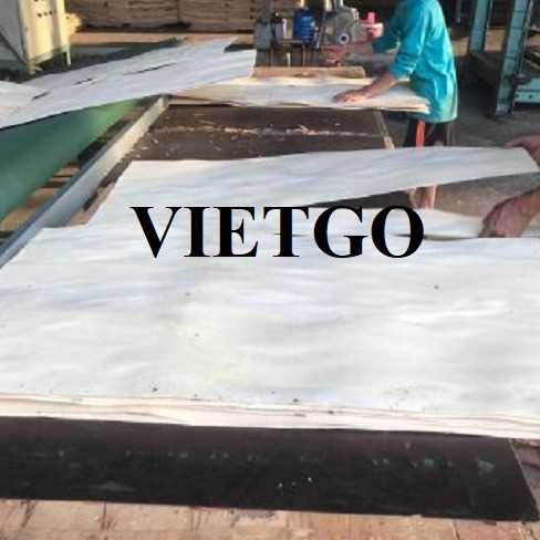 Thương vụ xuất khẩu ván bóc cao su sang thị trường Ấn Độ