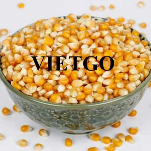 Cơ hội hợp tác xuất khẩu ngô đến thị trường Sri Lanka 