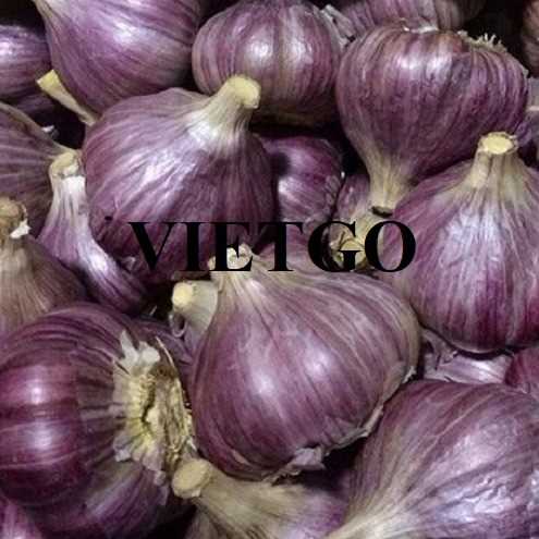 Cơ hội xuất khẩu tỏi sang thị trường Tây Ban Nha