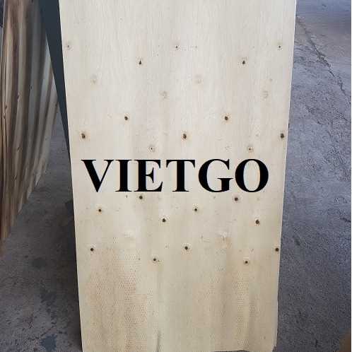 Thương vụ xuất khẩu sản phẩm ván bóc bạch đàn đến thị trường Ấn Độ