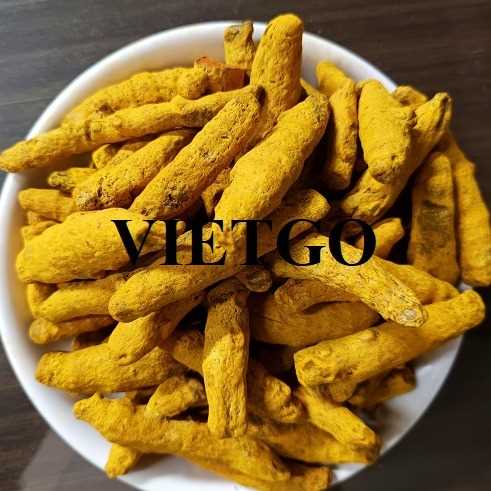 Cơ hội xuất khẩu nghệ khô sang thị trường Ấn Độ