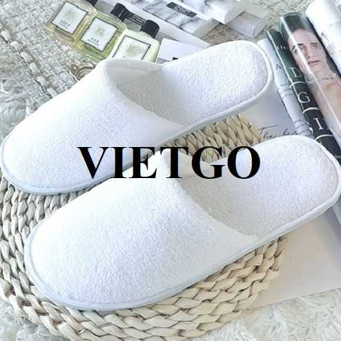 Cơ hội xuất khẩu sản phẩm dép đi trong nhà tới thị trường Hoa Kỳ