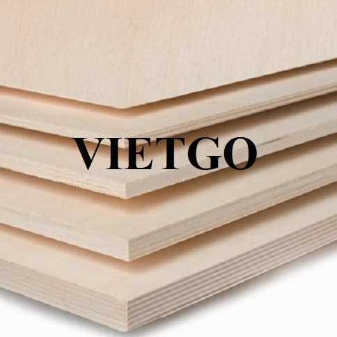 Thương vụ xuất khẩu gỗ dán đến thị trường Ấn Độ