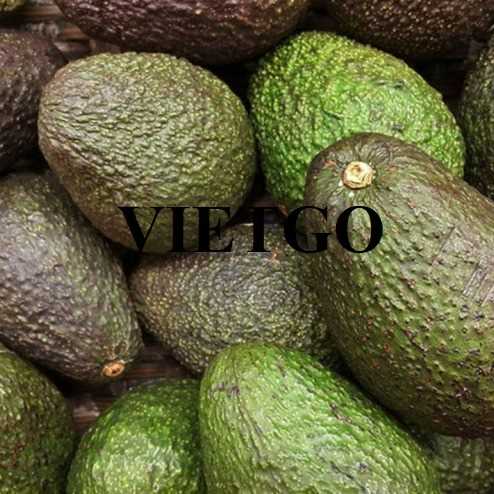 Cơ hội xuất khẩu bơ sang thị trường Trung Quốc