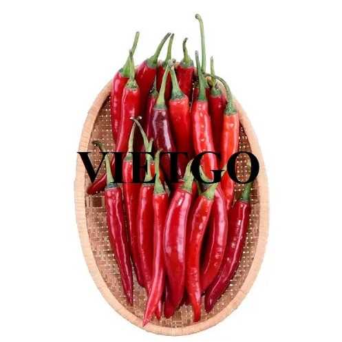 Cơ hội xuất khẩu ớt sang thị trường Trung Quốc