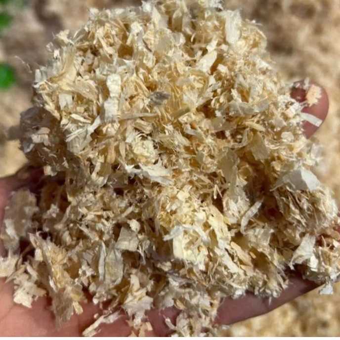 I am looking for wood shavings
