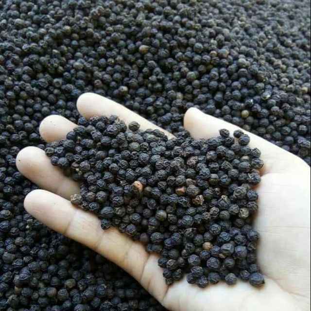 Hạt tiêu