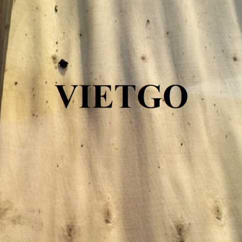 Cơ hội xuất khẩu ván bóc sang thị trường Ai Cập