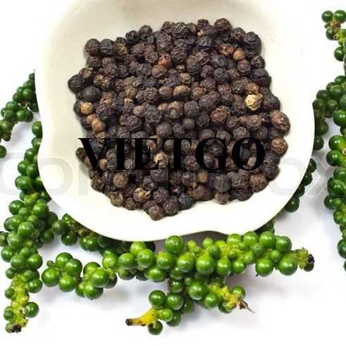 Cơ hội hợp tác xuất khẩu hạt tiêu đen đến thị trường Bangladesh
