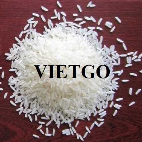Cơ hội hợp tác xuất khẩu gạo đến thị trường Nga