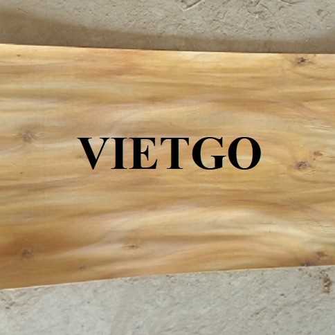 Thương vụ xuất khẩu ván bóc bạch đàn sang thị trường Ấn Độ 