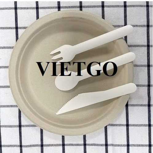 Thương vụ xuất khẩu gia dụng giấy sang thị trường Thổ Nhĩ Kỳ