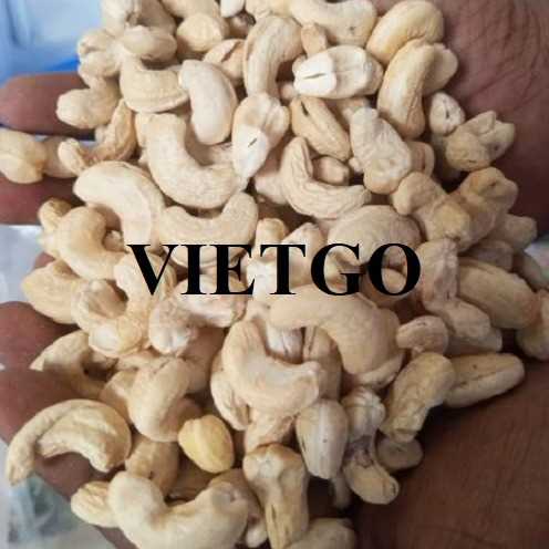 Cơ hội xuất khẩu hạt điều W180 và W240 sang thị trường Pháp