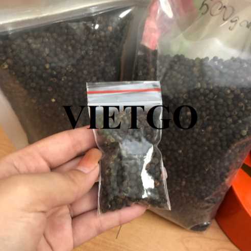 Cơ hội hợp tác xuất khẩu hạt tiêu đến thị trường Ấn Độ 