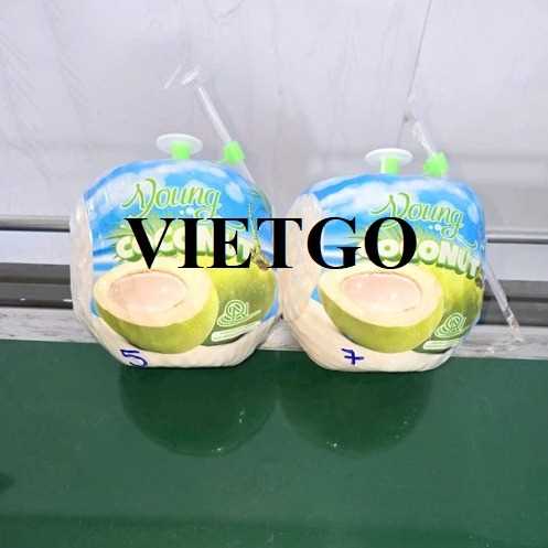 Cơ hội hợp tác xuất khẩu dừa đến thị trường Ấn Độ 
