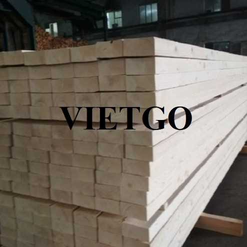 Cơ hội xuất khẩu gỗ thông xẻ sang thị trường Sri Lanka