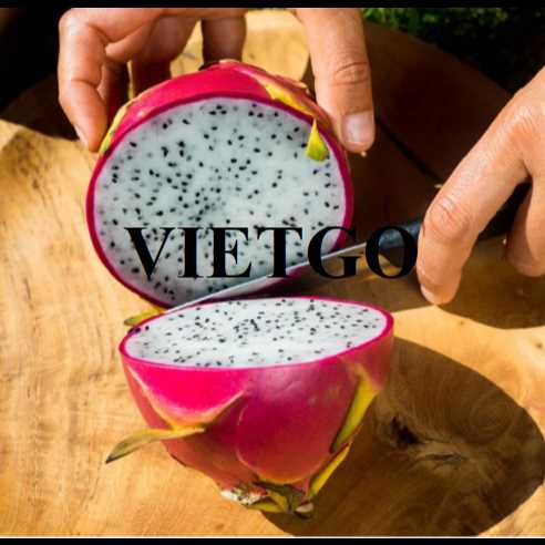 (Gấp) Cơ hội hợp tác xuất khẩu thanh long đến thị trường Ấn Độ  