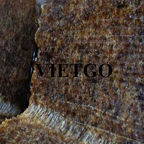 Thương vụ xuất khẩu sản phẩm mủ cao su SVR20 đến thị trường Malaysia 