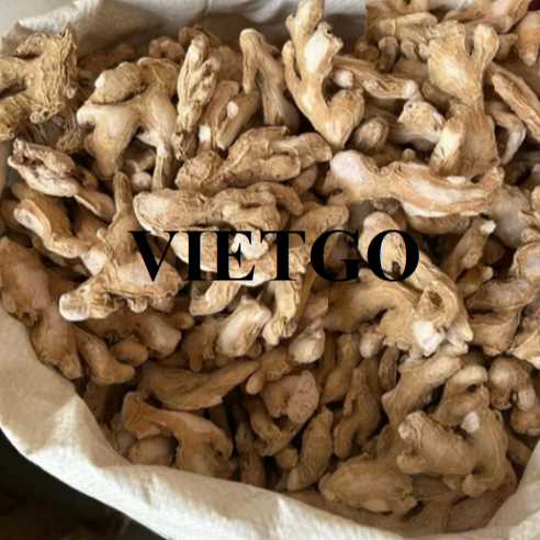 Cơ hội hợp tác xuất khẩu gừng đến thị trường Ấn Độ 