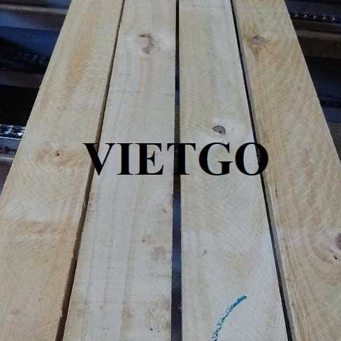 Thương vụ xuất khẩu gỗ thông xẻ sang thị trường Ấn Độ 