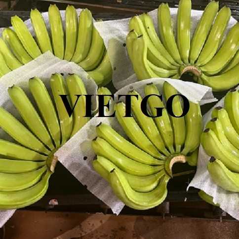 (Gấp) Cơ hội hợp tác xuất khẩu chuối đến thị trường Iran