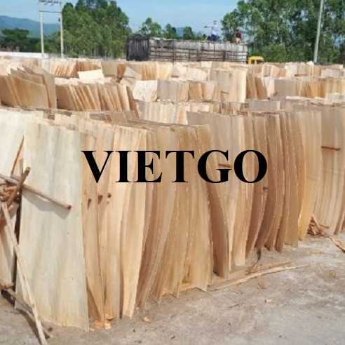 Thương vụ xuất khẩu ván bóc bạch đàn sang thị trường Trung Quốc
