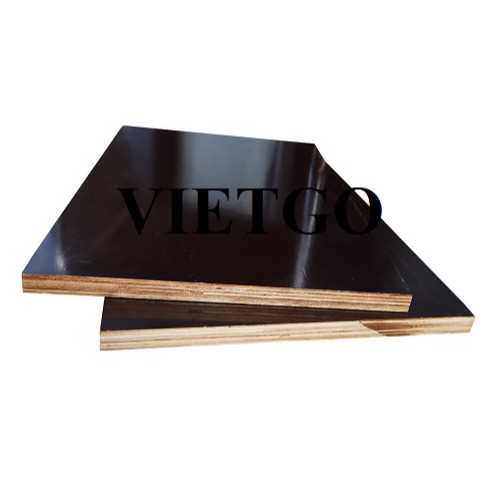 Thương vụ xuất khẩu gỗ dán phủ phim sang thị trường Ấn Độ 