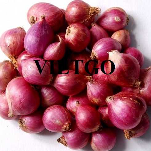 Cơ hội hợp tác xuất khẩu hành tím đến thị trường Sri Lanka