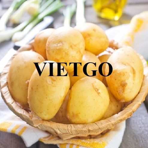 Cơ hội hợp tác xuất khẩu khoai tây đến thị trường Sri Lanka