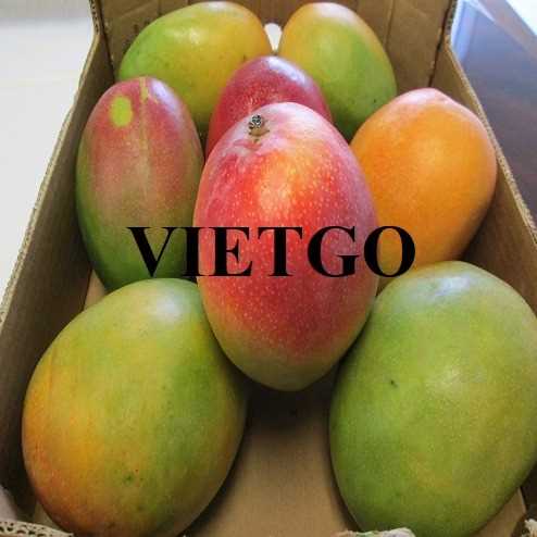 Cơ hội xuất khẩu xoài sang thị trường Indonesia