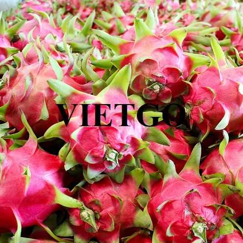 Cơ hội hợp tác xuất khẩu thanh long đến thị trường UAE