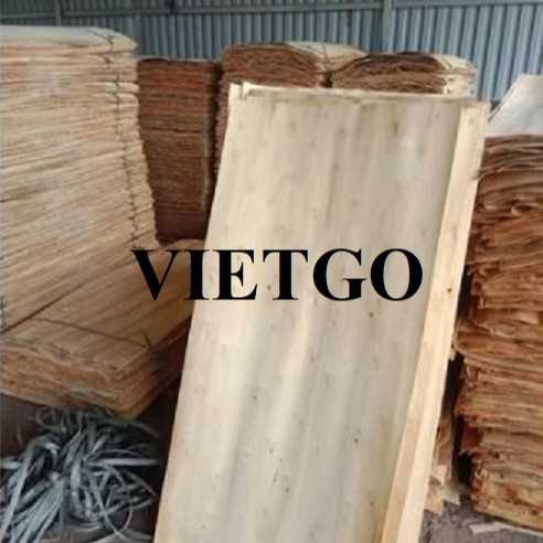 Cơ hội xuất khẩu ván bóc bạch đàn sang thị trường Ấn Độ
