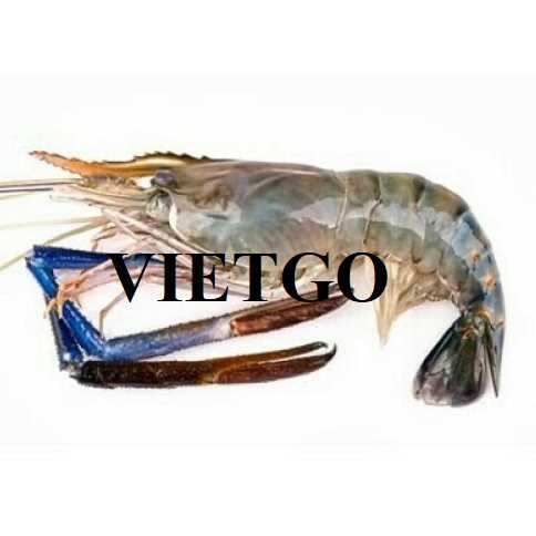 Cơ hội xuất khẩu tôm càng xanh sang thị trường Trung Quốc