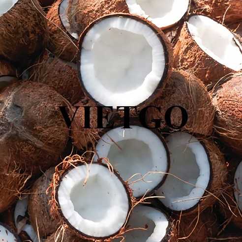 Cơ hội hợp tác xuất khẩu dừa khô lột vỏ đến thị trường Bangladesh