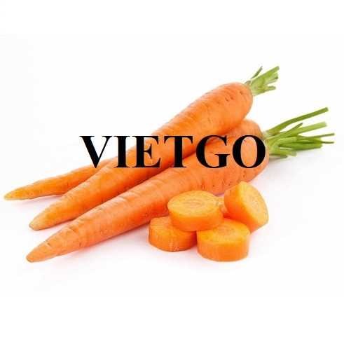 Cơ hội hợp tác xuất khẩu cà rốt đến thị trường UAE