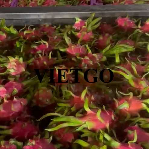 Cơ hội hợp tác xuất khẩu thanh long đến thị trường Ấn Độ