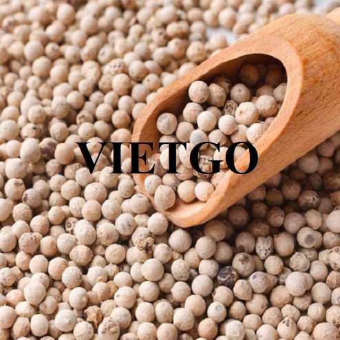 Cơ hội xuất khẩu hạt tiêu trắng sang thị trường Ai Cập