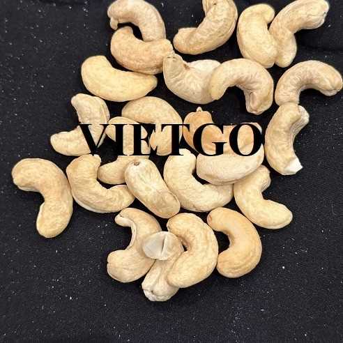 Cơ hội xuất khẩu hạt điều w320 đến thị trường Bỉ và Hà Lan