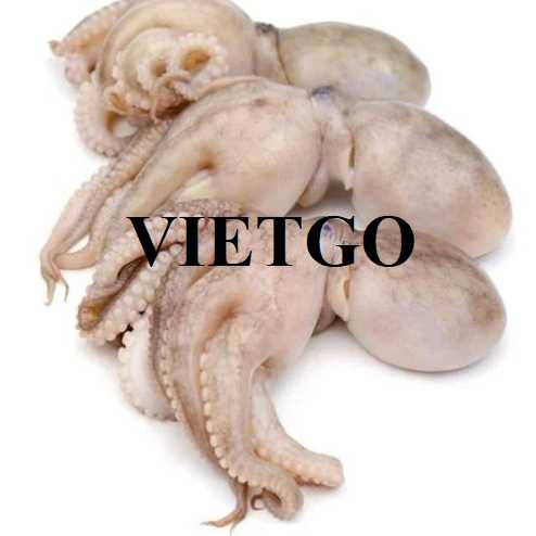 Cơ hội xuất khẩu bạch tuộc sang thị trường Tây Ban Nha