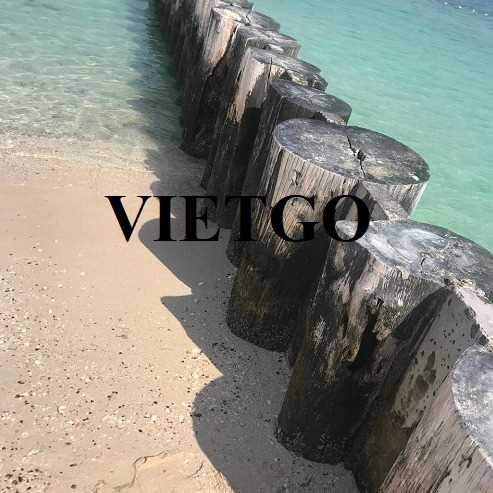 Thương vụ xuất khẩu sản phẩm cọc gỗ đến thị trường UAE