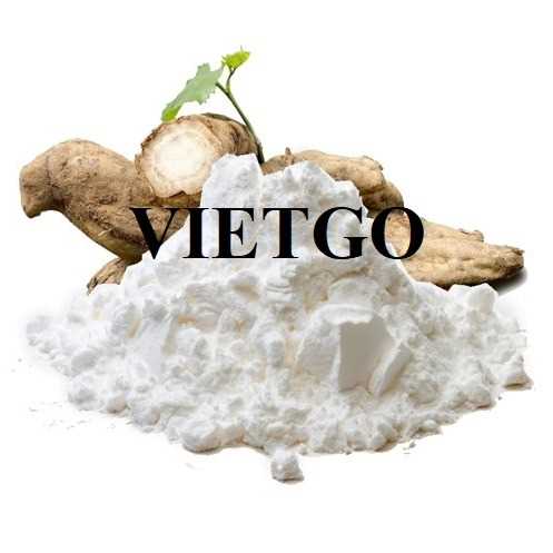 Cơ hội hợp tác xuất khẩu bột sắn đến thị trường Slovenia