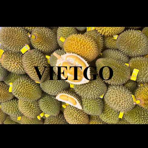 Cơ hội xuất khẩu sầu riêng sang thị trường Trung Quốc