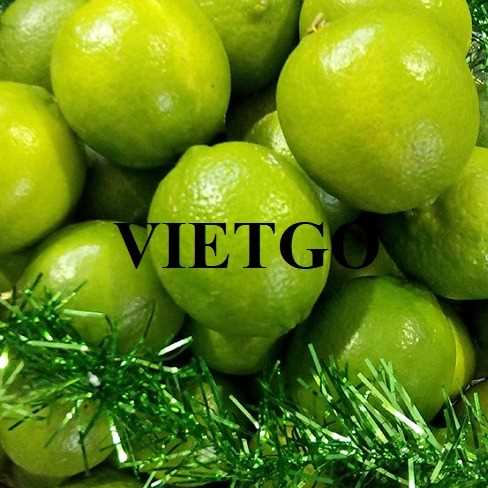 Cơ hội xuất khẩu chanh sang thị trường UAE